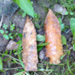 Meet your Posher, F town